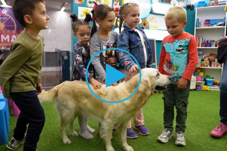 Na UNICEF-ovi točki za otroke v mestu Harkov v Ukrajini terapevtski kužki otrokom pomagajo pri soočanju s posledicami travm vojne.
